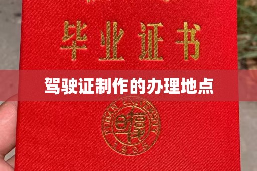 疏勒驾驶证制作的办理地点