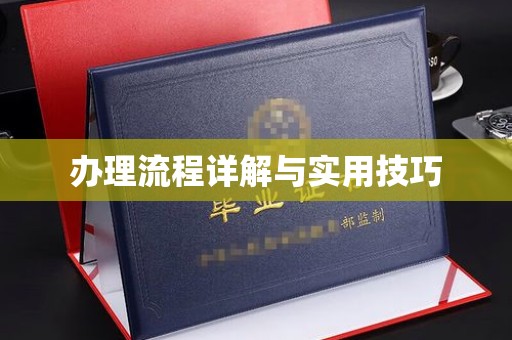 疏勒办理流程详解与实用技巧