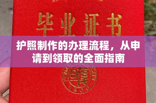 疏勒护照制作的办理流程，从申请到领取的全面指南