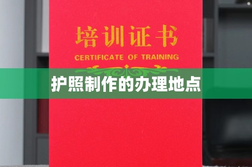 疏勒护照制作的办理地点