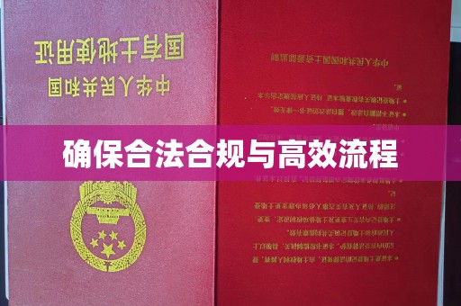 疏勒确保合法合规与高效流程