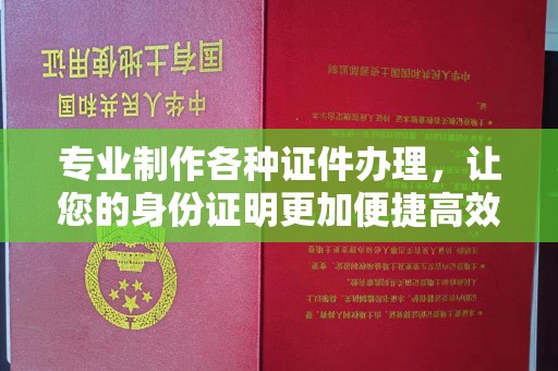 疏勒专业制作各种证件办理，让您的身份证明更加便捷高效