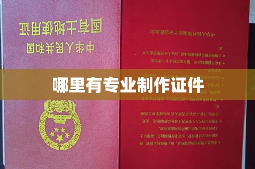 疏勒哪里有专业制作证件