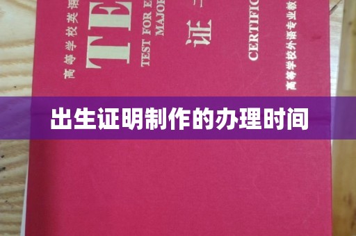疏勒出生证明制作的办理时间