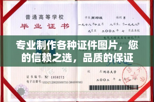 疏勒专业制作各种证件图片，您的信赖之选，品质的保证