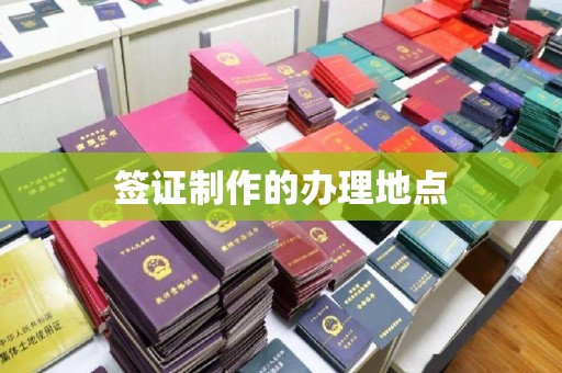 疏勒签证制作的办理地点