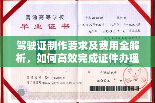 疏勒驾驶证制作要求及费用全解析，如何高效完成证件办理？
