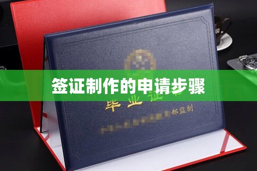 疏勒签证制作的申请步骤