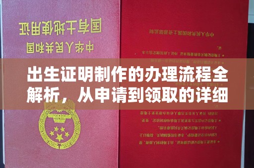 疏勒出生证明制作的办理流程全解析，从申请到领取的详细指南
