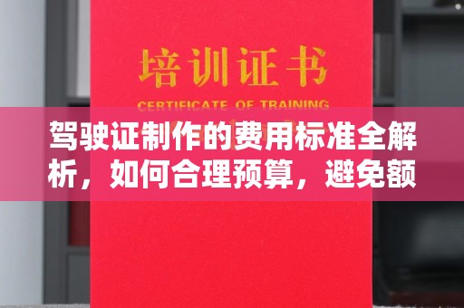 疏勒驾驶证制作的费用标准全解析，如何合理预算，避免额外支出
