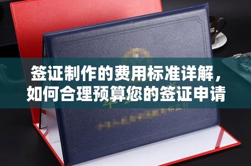 疏勒签证制作的费用标准详解，如何合理预算您的签证申请成本